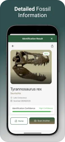 Fossil Scope screenshot 3